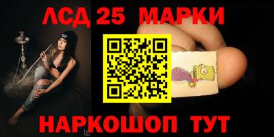 прущие грибы Будённовск