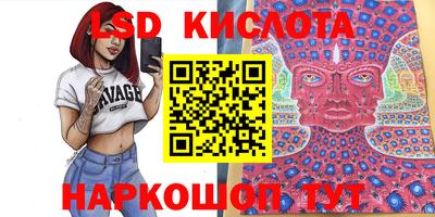 прущие грибы Будённовск