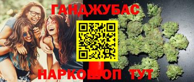 прущие грибы Будённовск