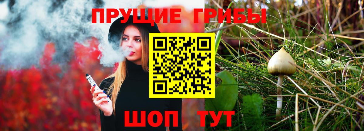 Галлюциногенные грибы Cubensis Шатура