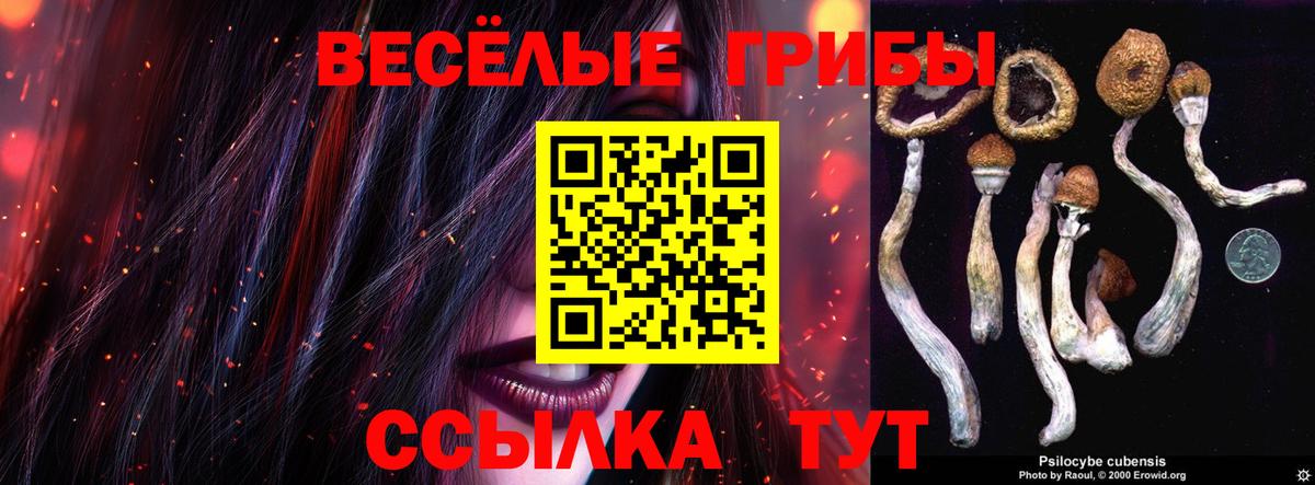 Шатура  Псилоцибиновые грибы Magic Shrooms  Вход с VPN 